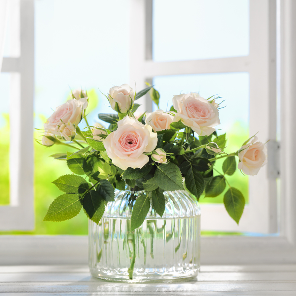 Bouquet of rose flowers near window with curtain